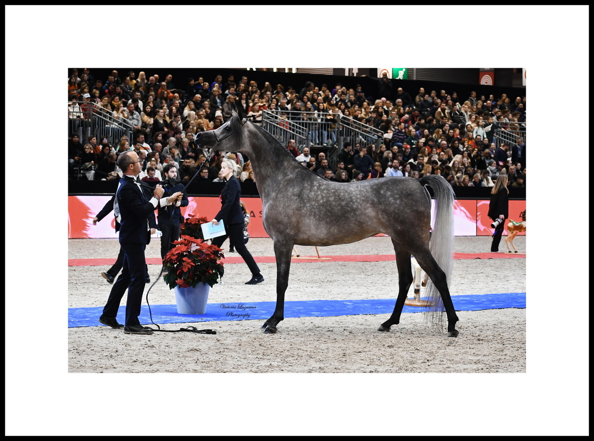 Best head - AISHA AL SHEIKH