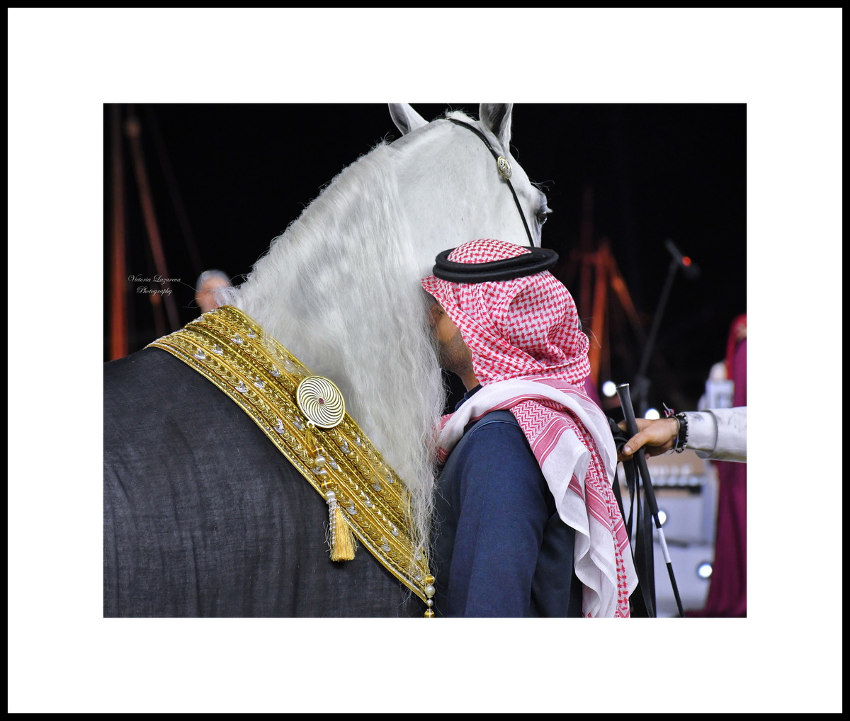 Arabian stallion Alexxanderr