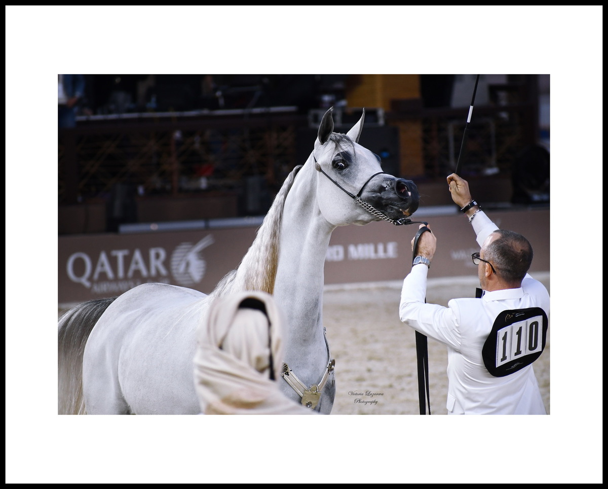 Raphael Curti & junior filly Expectations Alwajba