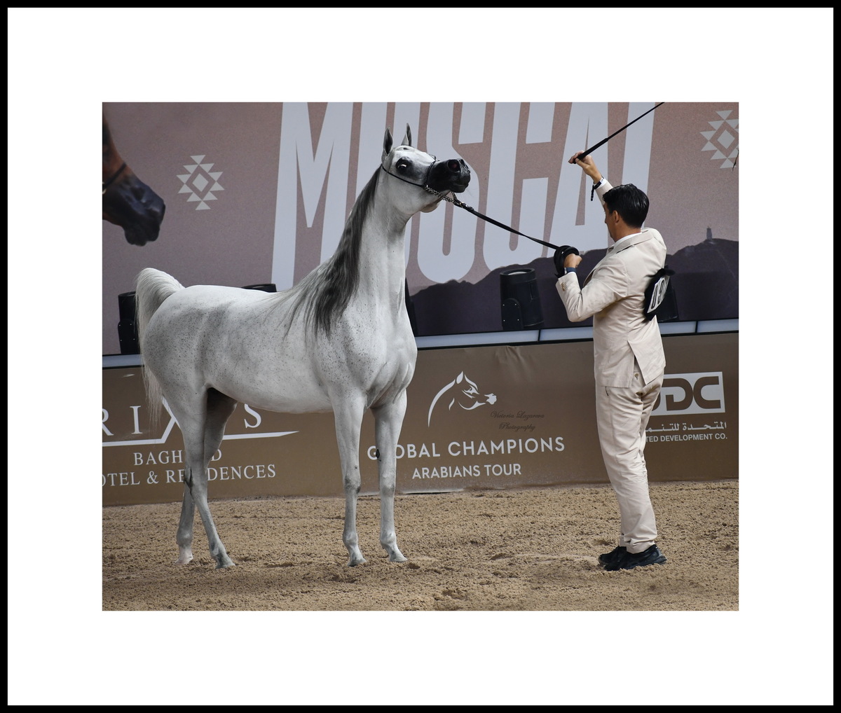 Paolo Capecci & Arabian mare D Shihanah
