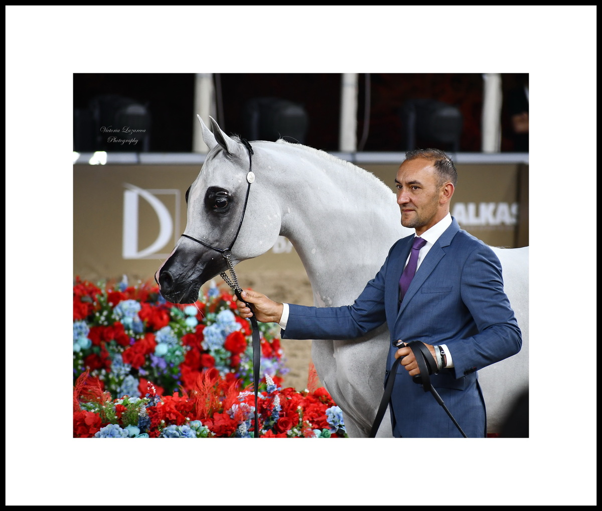 Glenn Schoukens & Arabian mare RK Sadeem