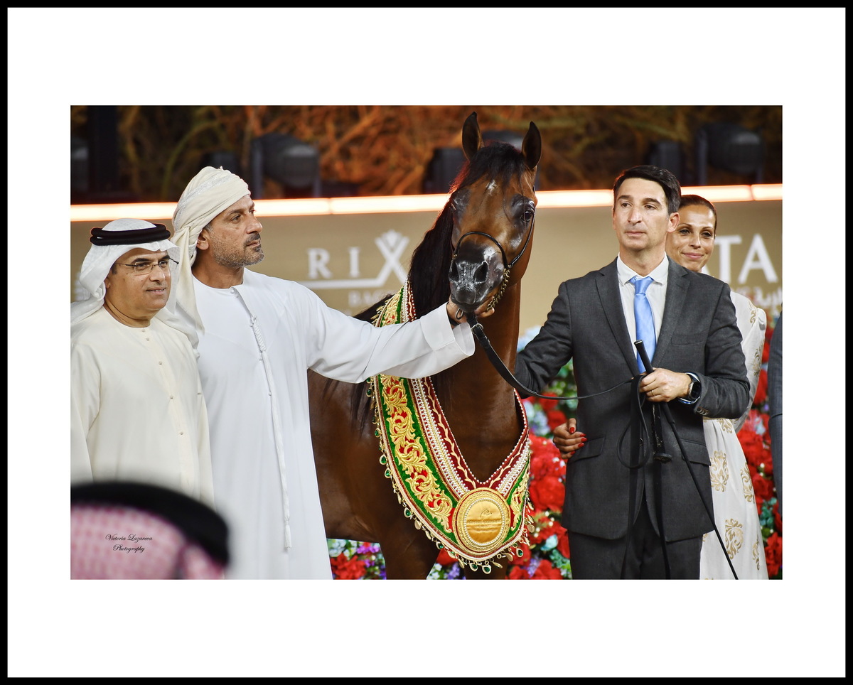 Dubai stud managers Mohammed Al Tawhidi and Abdelaziz Al Marzooqi, trainer Paolo Capecci with his wife and the triumphant junior Arabian colt D Borkan, UAE