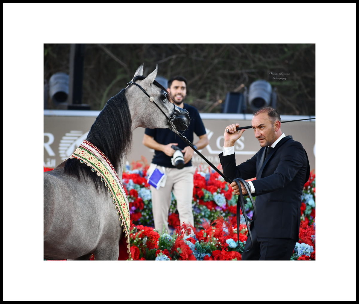 Glenn Schoukens & yearling Arabian filly AJ Sindala