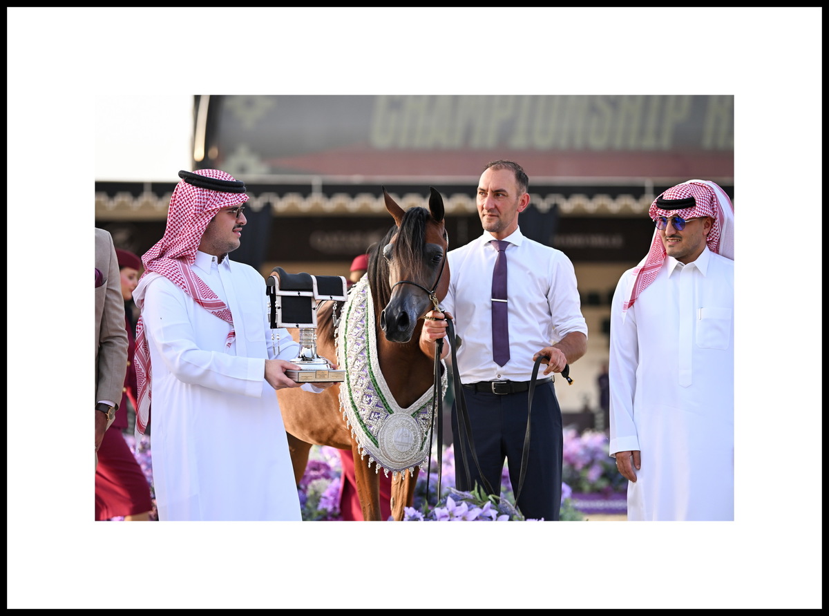 Prince Abdulmajeed bin Sultan Al Saud alongside the manager of Akmal Stud Fahad Alghofaily, trainer Glenn Schoukens and the triumphant yearling filly Areej Akmal, photo credit by gcarabianstour.com 