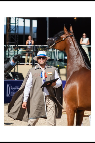 Las Vegas, Nevada, USA, photo credit by © Global Champions Arabians Tour