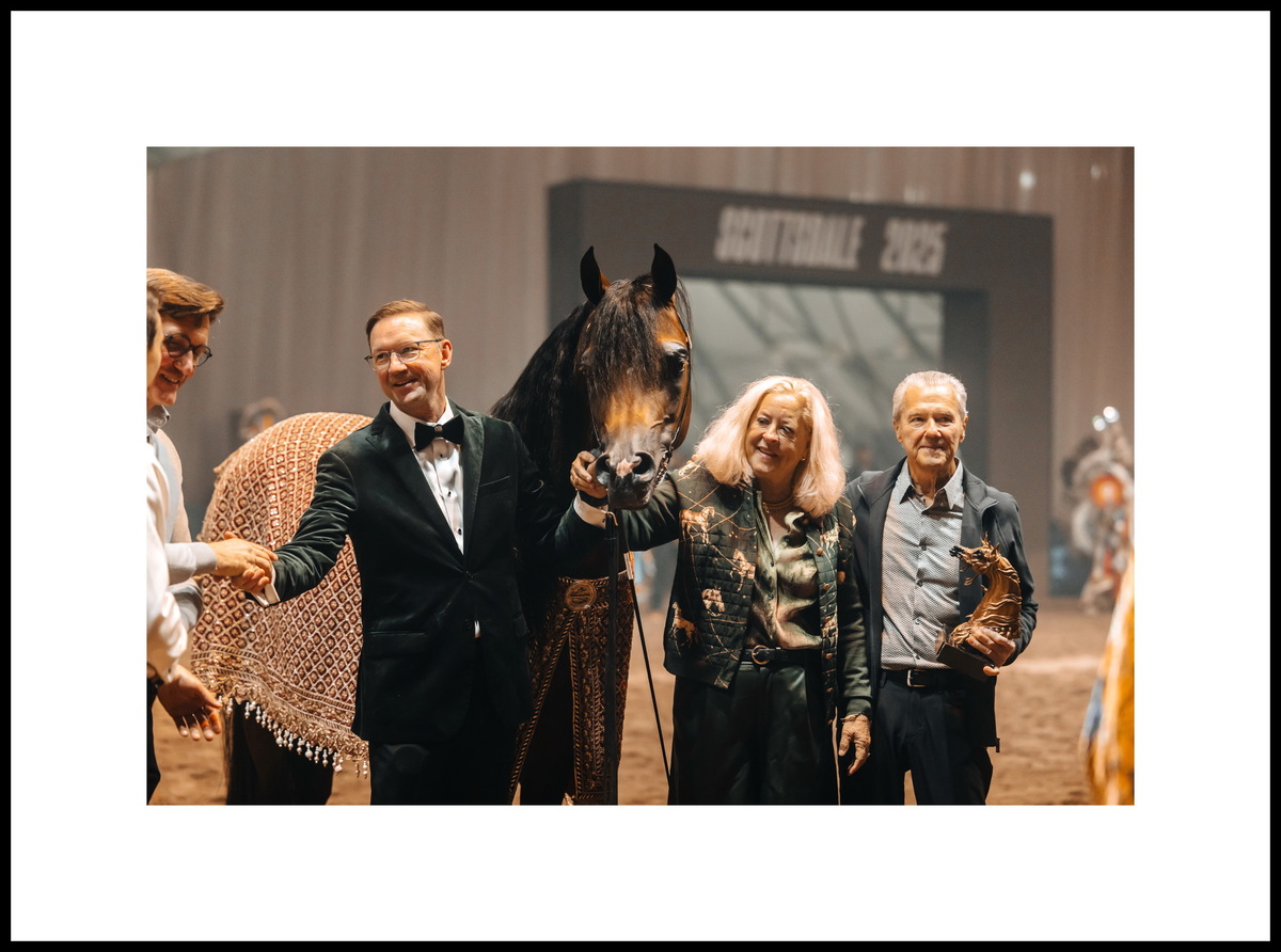 Арабский жеребец Ташим Пи Эм Эй и его владелица Тереза ​​Лунгвиц - «Роял Ти Арэбианс», США. Фото предоставлено © Global Champions Arabians Tour