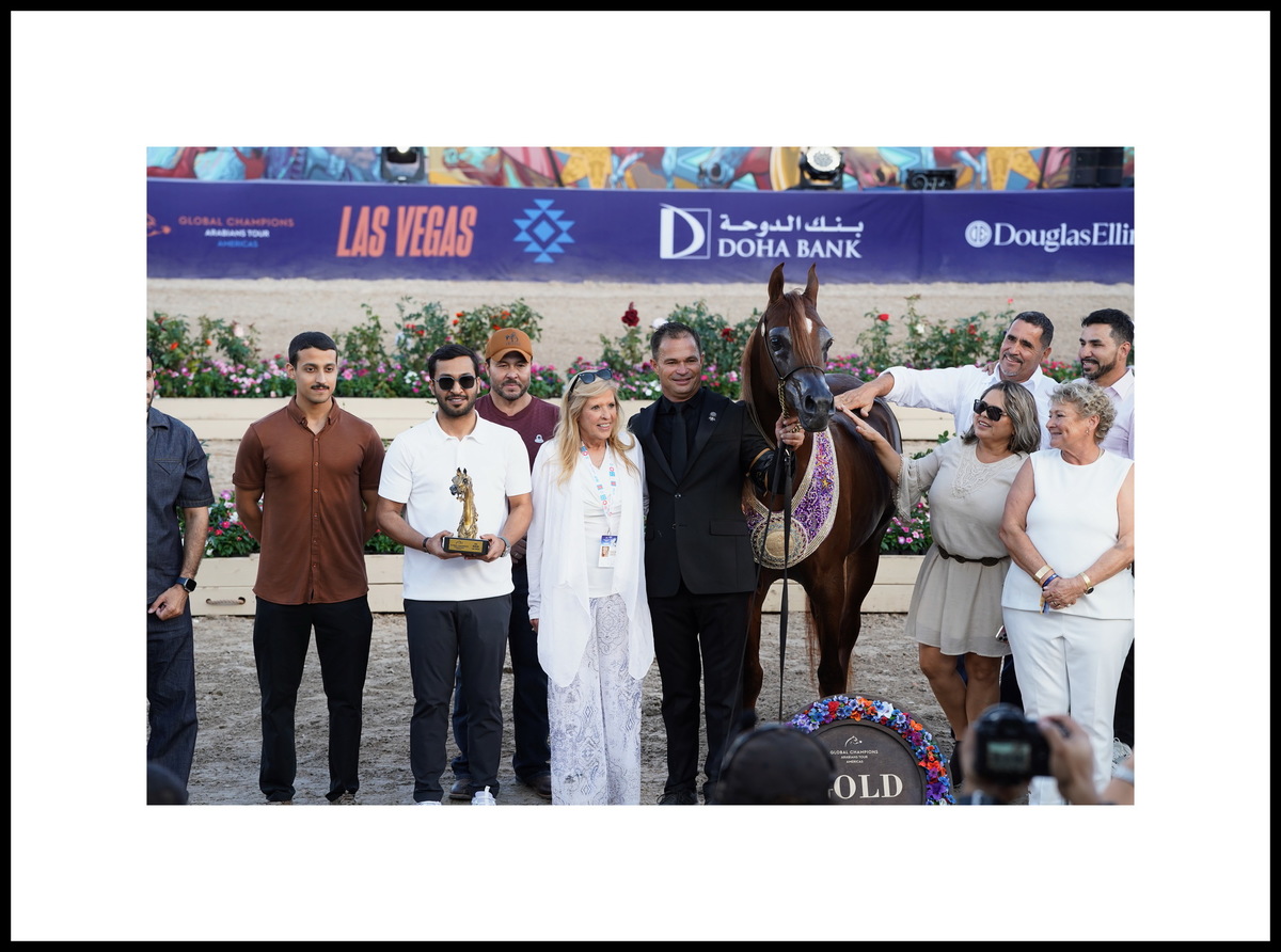 Жеребчик-юниор Эс Ти Эй Хай Волтадж и команда его владельца, конезавод «Аль Ваджба», Катар. Фото предоставлено © Global Champions Arabians Tour