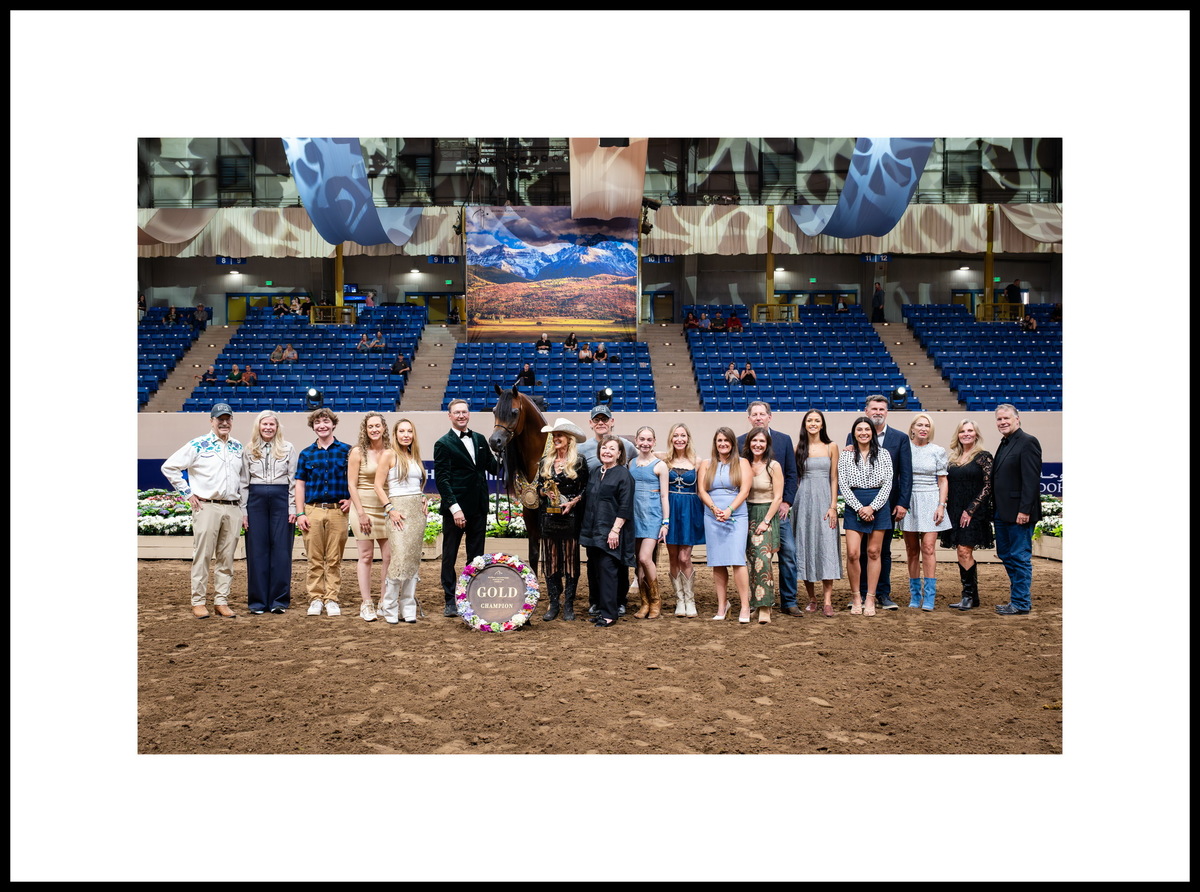 Жеребчик-юниор Рафаэль Эс Би Эй и команда его владельца, конезавод «Стелла Белла Арабианс», США. Фото предоставлено © Global Champions Arabian Tour